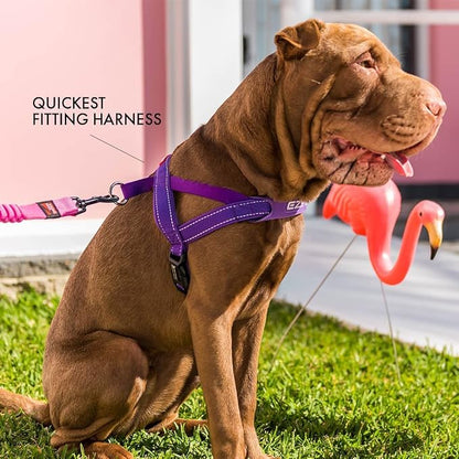 EzyDog Quick Fit Dog Harness, Soft Neoprene Padding - X-Large, Orange | Fast One-Click Buckle, Adjustable Fit, Strong Reinforced Materials, Reflective Stitching, No Pull Dog Harness, Easy Walking
