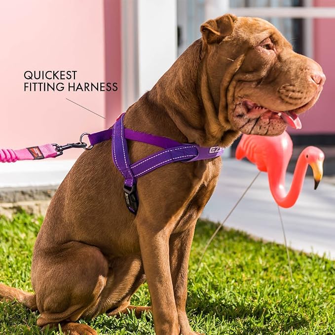EzyDog Quick Fit Dog Harness, Soft Neoprene Padding - X-Large, Pink | Fast One-Click Buckle, Adjustable Fit, Strong Reinforced Materials, Reflective Stitching, No Pull Dog Harness, Easy Walking