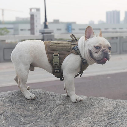 ICEFANG Tactical Dog Harness for Small Dogs,Reflective No Pull Dog Vest | with Control Handle,Adjustable,Front Hook,2 Leash Clips,Soft Padded,MOLLE Panel,Brown,Small