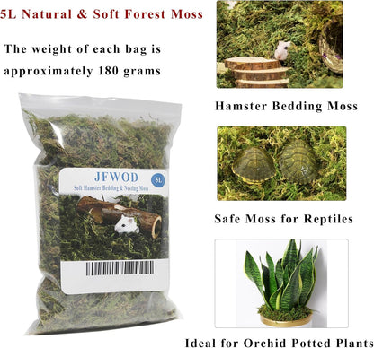 5L Forest Moss for Hamster Syrian Gerbils Bedding, Natural Moss Perfect for Potted Plants, Terrariums, Reptile Tanks and Live Creature Projects