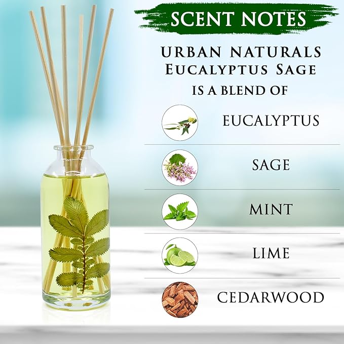 Urban Naturals Eucalyptus Sage Reed Diffuser Oil Gift Set | Eucalyptus