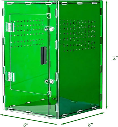 8x8x12 Acrylic Terrarium Reptile Tank – Cyberpunk Deep Green Reptile Enclosure Modeled After New Caledonia Rainforest for Lizards, Spiders & Small Reptiles