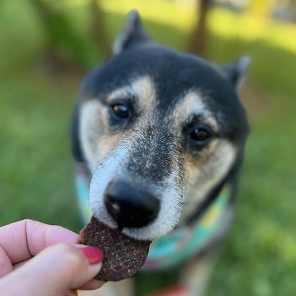 Farm To Pet - Dog Training Treats - 4 oz Beef Chips, Single Ingredient, Lean, All Natural, Healthy Treats for Small, Medium, Large Dog Breeds, & Puppies, Made in USA