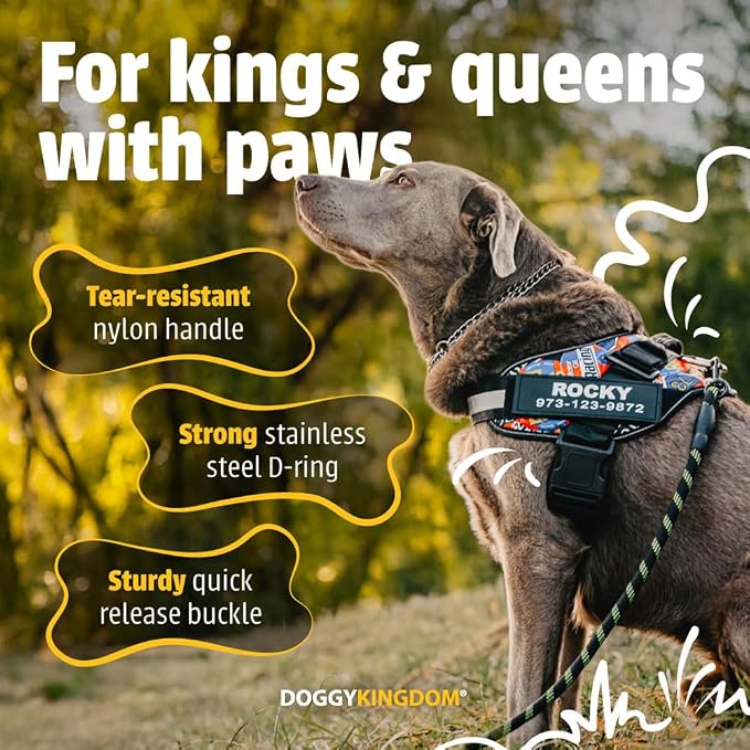 Personalized Dog Harness with Custom Name Patches, Adjustable Reflective No Choke Dog Vest with Handle for XXL Dog, Green, 2XL