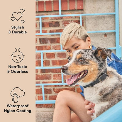 Wild One Dog Collar, The Original Easy-Clean, All Weather Flex-Poly Strap with Metal, Durable, Dirt and Odor Resistant, Size XL, Black