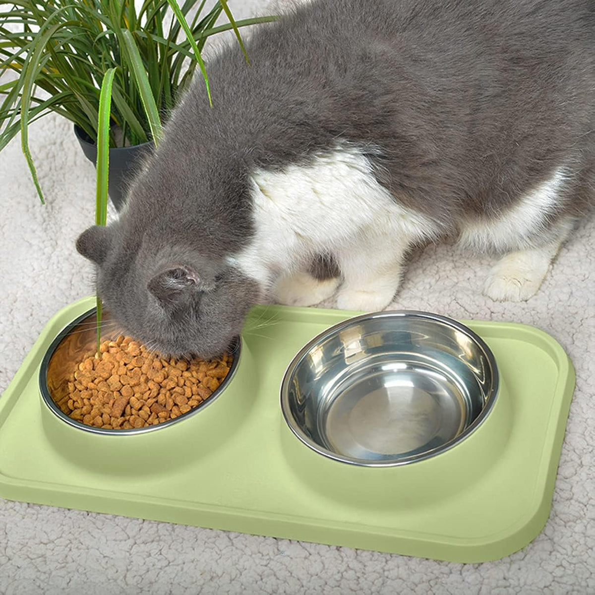 Cat Food Bowls, Cat Bowls Non-Skid and Non-Spill Silicone Pads with PP Stand, Removable Stainless Steel Food and Water Dishes for Cats, Small Size Dogs