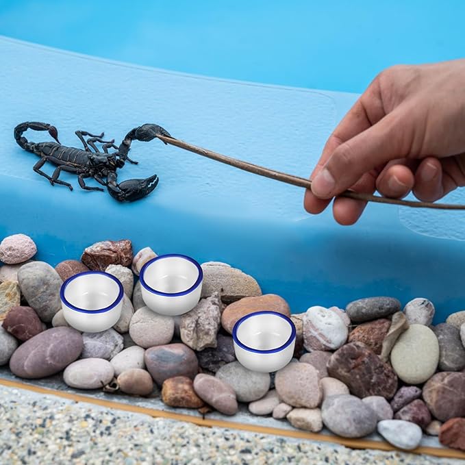 12pcs Small Ceramic Water Feeder Bowls and Spiders Mini Reptile Tank Water Containers Terrarium Basins for Small Pets