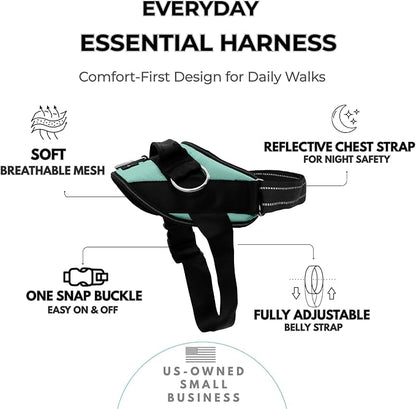 ShawnCo Essential Dog Harness, No-Pull Pet Vest (Seafoam,XL) | 3 Leash Clips, Easy On, No-Choke, Reflective, Adjustable Fit, Padded Comfort, Control Handle, For Small, Medium & Large Dogs