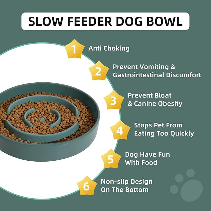 Ceramic 1.6 Cup Slow Feeder Dog Bowl