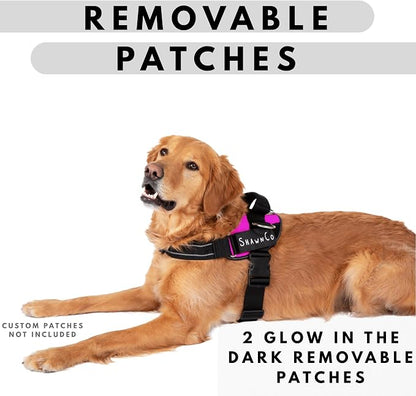 ShawnCo Essential Pro Dog Harness, No-Pull Pet Vest with 3 Leash Clips and Removable, Reflective Side Patches, Adjustable and Padded Harness for Small, Medium and Large Dogs (Electric Blue, L)