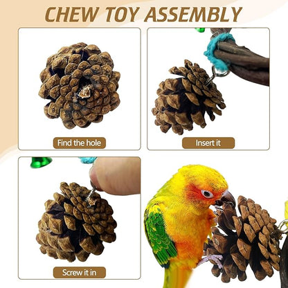 BNOSDM Bird Swing Rings Toy Natural Wood Parrot Climbing Ladder Parakeet Chewing Toys Hanging Budgie Cage Accessories for Green Cheek Conure Cockatiel Lovebird (6 Rings)