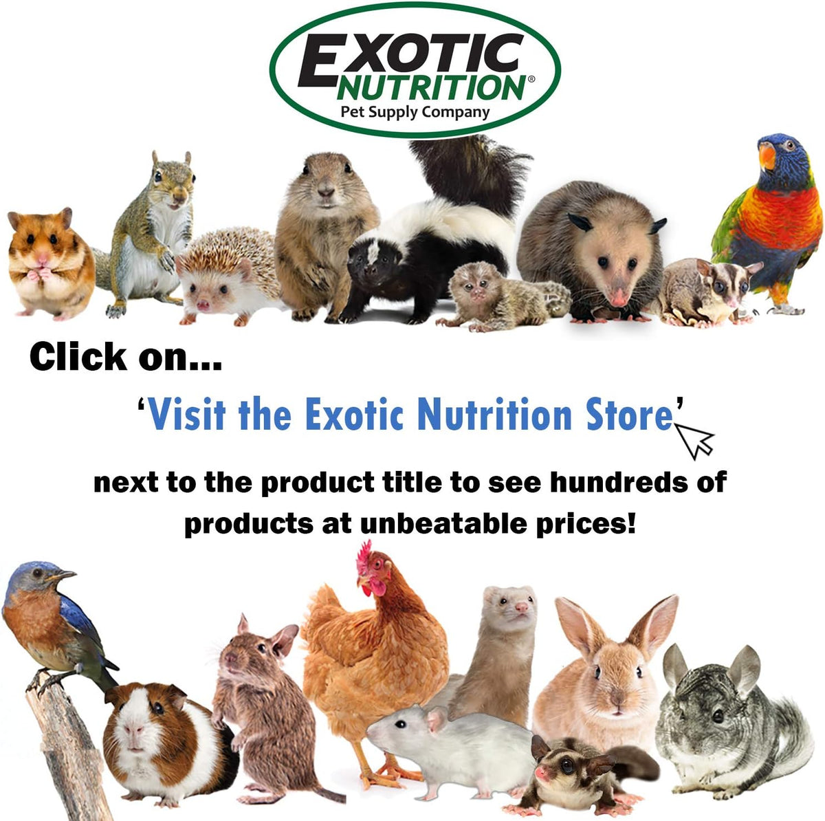 Degu Booster (2 oz.) - Complete Multivitamin - Powdered Vitamin & Mineral Supplement for Pet Degus
