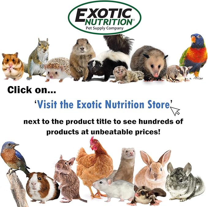 Congo Cage & Starter Package for Sugar Gliders - Includes Durable Cage, Exercise Wheel, Healthy Food Assortment, Water Bottle, Food Dishes & Nest Pouch