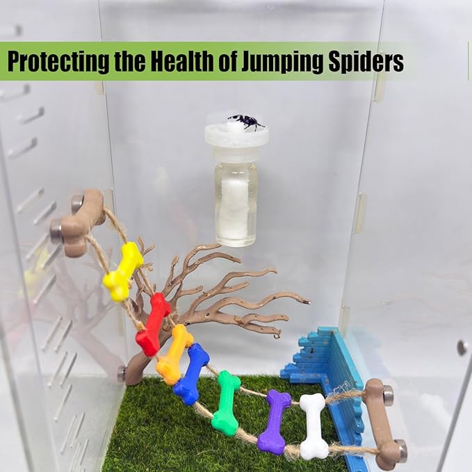Jumping Spider Water Dispenser, Magnetic Hanging Feeder,Suitable for Jumping Spiders,Tarantulas, Praying Mantises,Arboreal Animals, and Other Small Animal Enclosure Accessories (Transparent, 15ML)