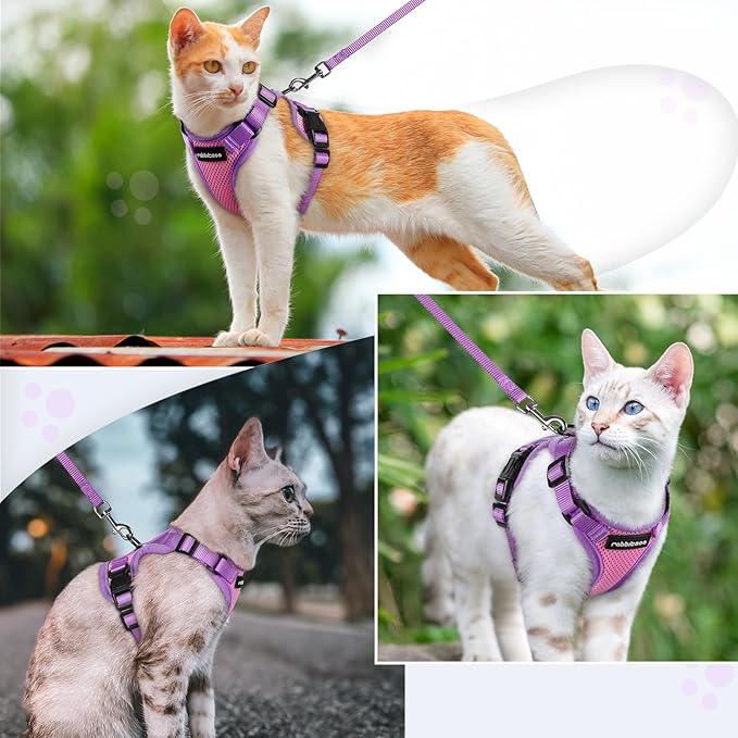 rabbitgoo Cat Harness and Leash Set, Escape Proof Soft Adjustable Vest Harnesses for Outdoor Walking, Easy Control Breathable Kitten Jacket with Reflective Strips, Pink & Purple, XS