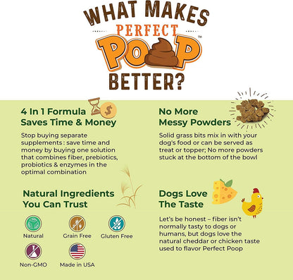 Perfect Poop Digestion & General Health Supplement for Dogs: Fiber, Prebiotics, Probiotics & Enzymes Relieve Digestive Conditions, Optimize Stool, and Improve Health (Chicken, 12.8 oz)