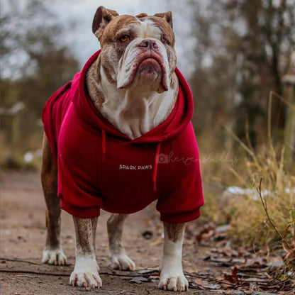 Spark Paws Dog Hoodie – Premium Dog Sweater for Small, Medium, and Large Dogs | Warm Outfits for French Bulldogs, Pitbull, Puppy, Winter Jacket Alternative - Burgundy - XL
