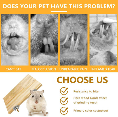 Hamster Wooden Ledge Platform 2Pcs Small Animals Natural Wood Stand Platform Chew Toys Cage Accessories for Squirrel Gerbil Suger Glider Rat Hamsters Bird