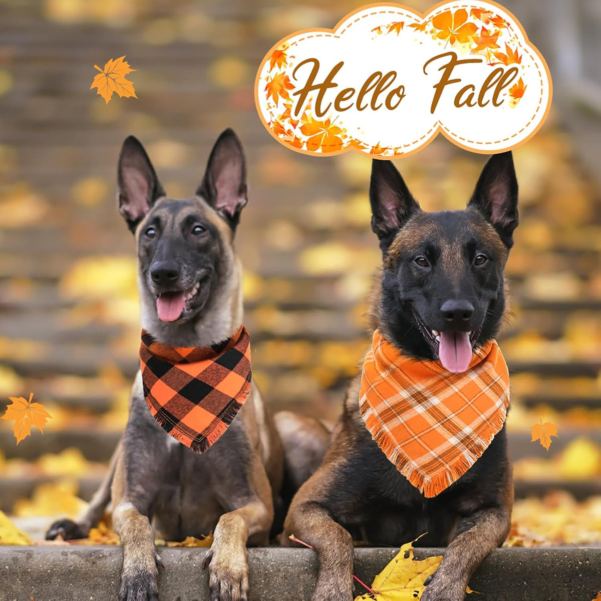 Kytely Dog Bandana Fall XLarge 2Pack, Halloween Autumn Dog Bandanas, Orange Plaid Pet Scarf for Boy and Girl, Holiday Bandana Reversible Triangle Bibs Accessories for Dogs Pets
