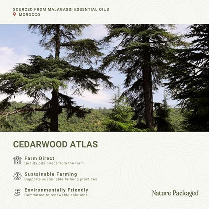 Pure Cedarwood Essential Oil