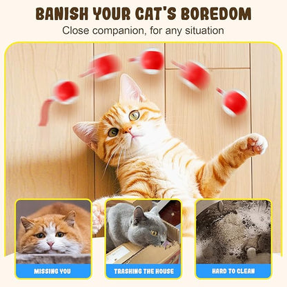Interactive Cat Toy Balls, 2025 New Cat Toys for Bored Indoor Adult Cats Peppy Pet Ball for Cats (Grey)