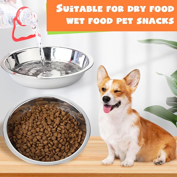 Patelai Stainless Steel Dog Bowls with Silicone Lids for 1.9 Cups Portable Food and Water Dishes for Pets Sealable Containers for 6.3" for Cats & Small Dogs(24 Pcs,Red,Blue,Green,Purple,Yellow,Orange)