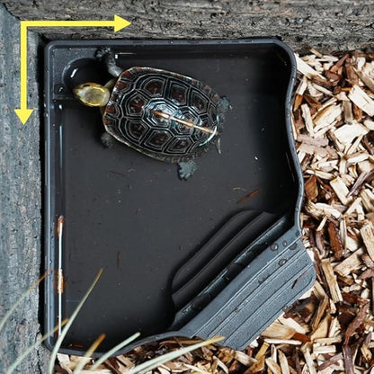 Flushbay Reptile Water Feeder Automatic Water Dispenser with Ramp Extra Large Reptile Bathing Pool for Gecko, Snake, Turtle, Bearded Dragon, Lizard Bath Aquarium Ornament (with Bottle)