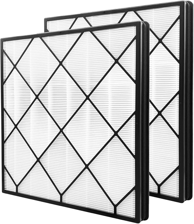 Leemone 2 Pack Filter Replacement