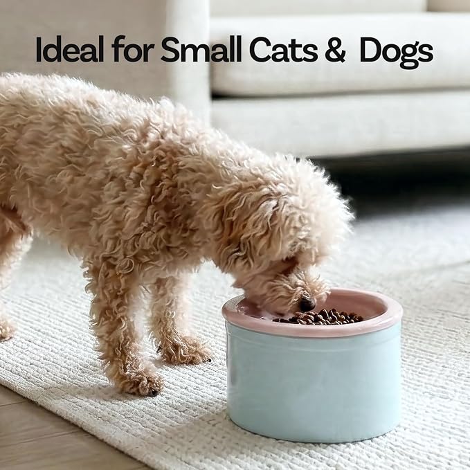 Hello Bowl Elevated Ceramic Cat Bowl with Stand, Raised Whisker-Friendly Feeding Bowl for Cats & Small Dogs, Patented Design, Made in Korea (5.9" H - Gray, Square/Dry)