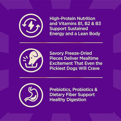 Wellness CORE+ Dry Dog Food with Freeze Dried Pieces, Wholesome Grains, High Protein, Natural, Original Turkey & Chicken Recipe, (4-Pound Bag)