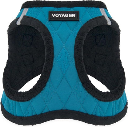 Best Pet Supplies - All Weather Mesh / Plush, Reflective, No Pull Harness for Small, Medium Dogs, Cats - Secure with Hook & Loop Fastener, Buckle, Double D-Rings - Turquoise Plush, XS