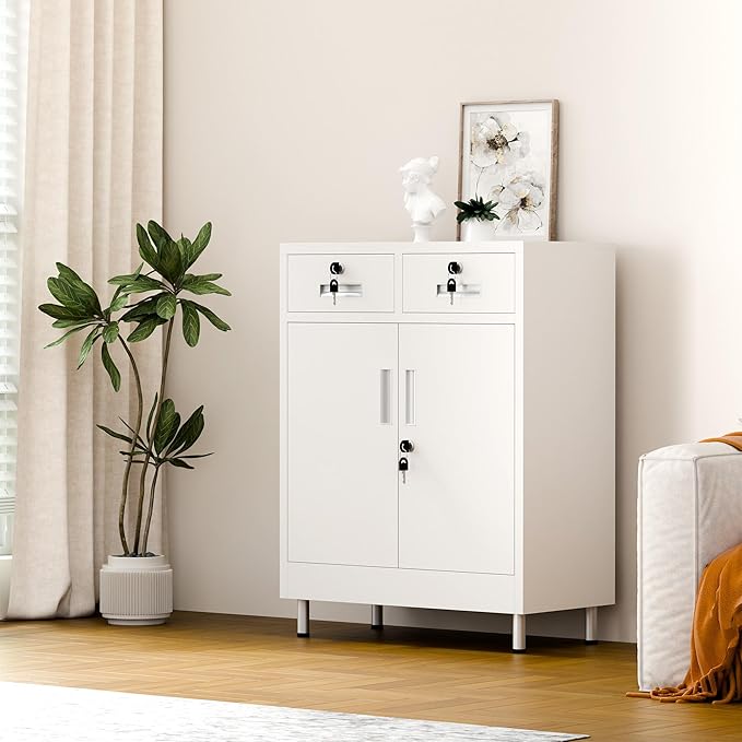 Metal Storage Cabinet with Locking Doors and 2 Drawers, Lockable Storage