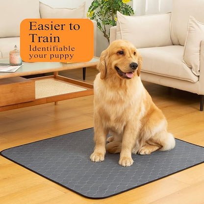 Bunlitent Washable Pee Pads for Dogs, 48x48, 2 Pack, Reusable Puppy Pads | Reusable, Quick Dry, Anti-Slip, Large, Waterproof, Whelping Pad for Pet, Playpen, Incontinence, Housebreaking, Training, Grey