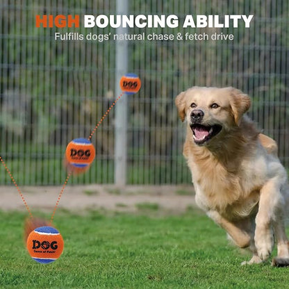 AMA SPORT Squeaky Tennis Balls for Dogs 2.0" Small Dog Tennis Balls for Throwing and Fetching Dog Toys for Training, Exercise, High Bouncing 4 Pack (Orange Yellow)