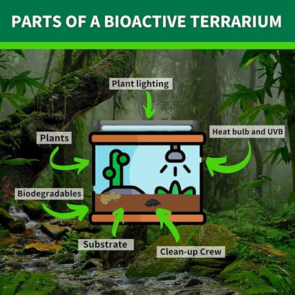 The Bio Dude Terra Sahara Bioactive Reptile Substrate 36 quarts for terrariums and vivariums. Bioactive Substrate for Bearded Dragons, Uromastyx, Leopard Geckos and More!