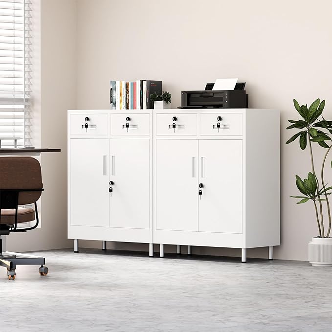 Metal Storage Cabinet with Locking Doors and 2 Drawers, Lockable Storage