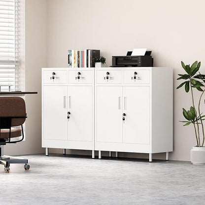 Metal Storage Cabinet with Locking Doors and 2 Drawers, Lockable Storage
