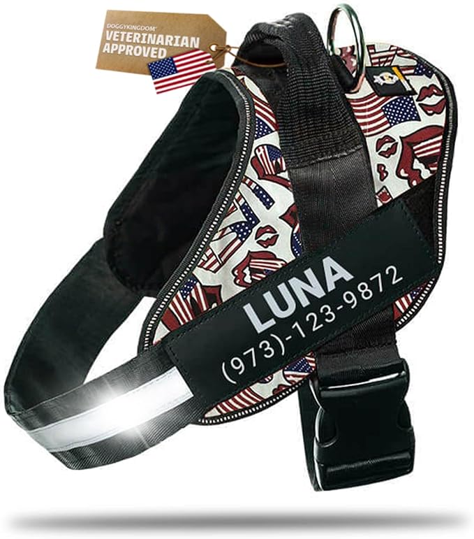 Personalized Dog Harness with Custom Name Patches, Adjustable Reflective No Choke Dog Vest with Handle for Small Sized Dog, USA, S