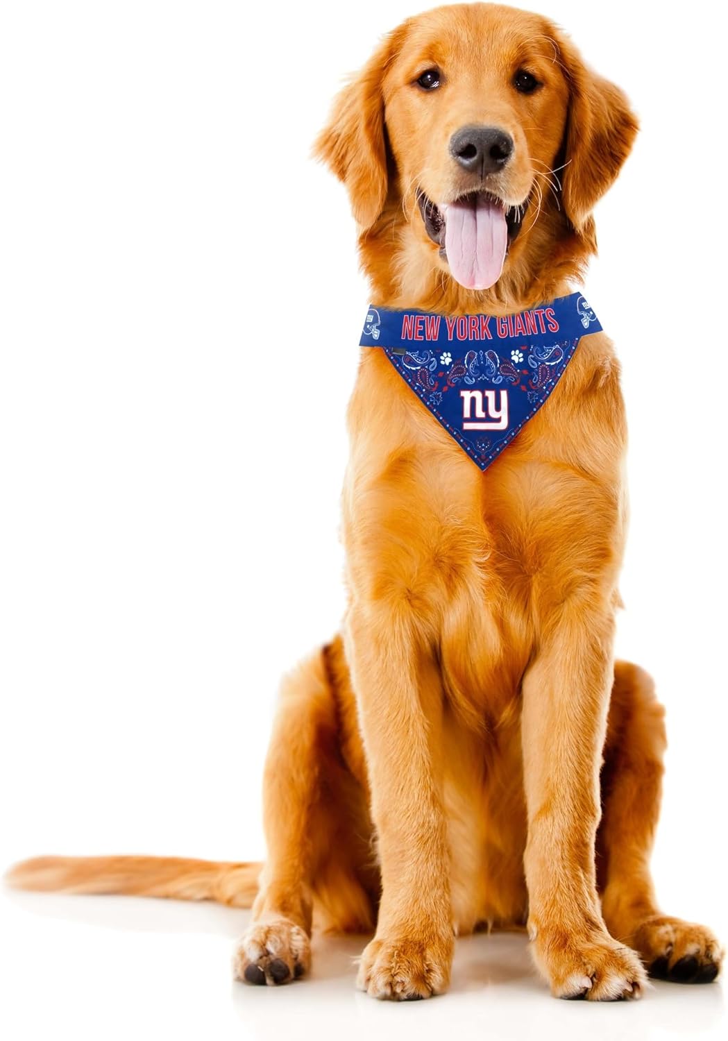 Littlearth NFL Pet Bandana - Reversible