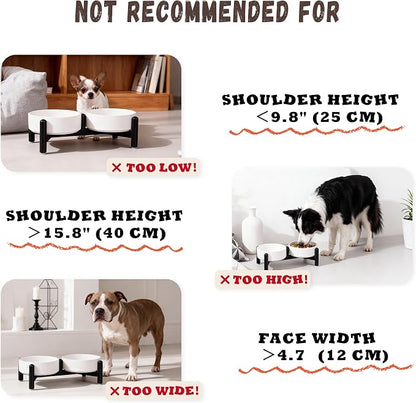 Raised Ceramic Dog Bowl Set with Stand, 2.1 Cups Elevated Dog Food Stand | 6'' Double Dog Food and Water Bowl Set, Non-Slip Dog Feeding Dishes for Small Breeds and Cats, 14 OZ, White