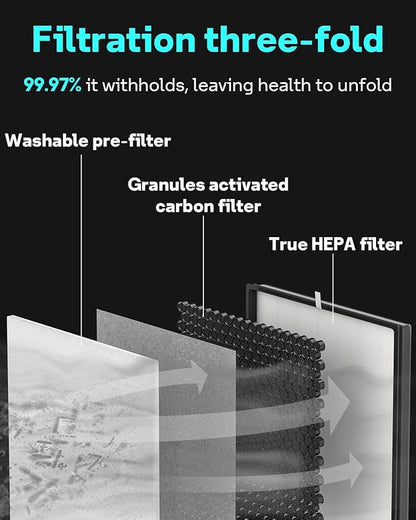 Leemone True HEPA Filter Replacement