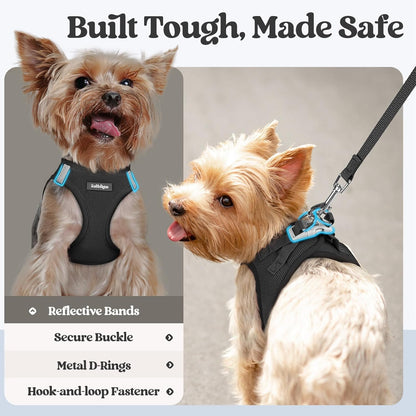 rabbitgoo Dog Harness Small Sized and Leash Set, Step in Soft Light Puppy Vest, Breathable Mesh Pet Harness, Reflective for Safe Easy Walking, Black M