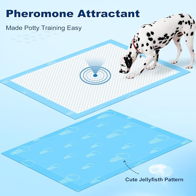 MIZOK XXL Pee Pads for Dogs Super Absorbent Dog Pee Pads Bulk 28x44in 100Ct | Heavy Duty Extra Long Dog Pads Feature Sticky Adhesive Tabs and Leak Proof Jellyfish Bottoms for Long Bodied Breeds