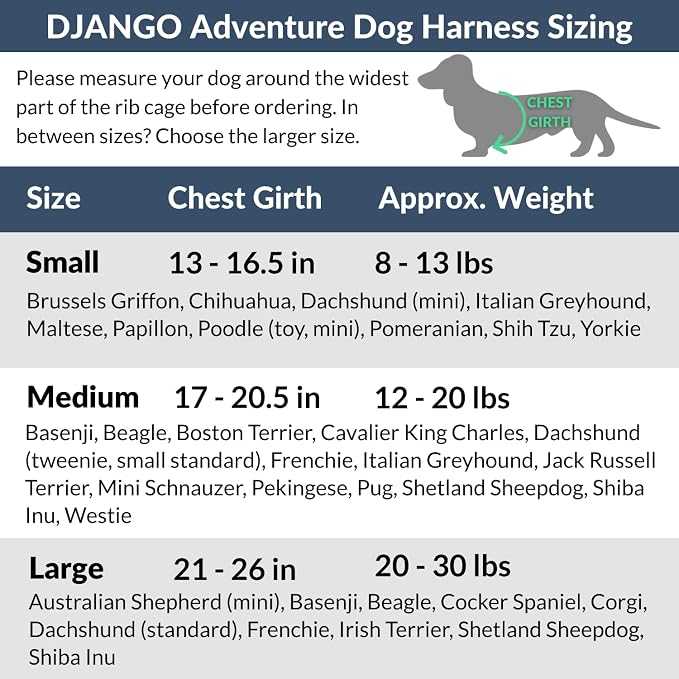 Adventure Dog Harness - Stylish Small Dog Harness for Outdoor Adventures and Everyday Wear - Dandelion Yellow Neoprene Adjustable Harness for Dogs with Reflective Piping and Solid Brass D-Ring