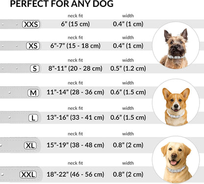 CollarDirect Rolled Leather Dog Collar, Soft Padded Round Puppy Collar, Handmade Genuine Leather Collar Dog Small Large Cat Collars 13 Colors (6-7 Inch, White Textured)