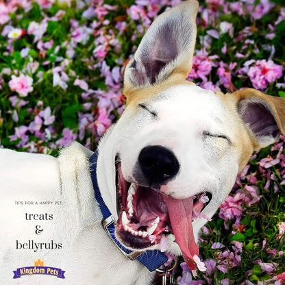 Duck Jerky Dog Treats with Only 3 Ingredients and No Fillers, 2.5 Pound Bag