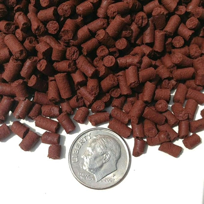 Aquatic Foods Inc. Beef Heart Sinking Bits, APX 1/8" x 5/16" Beef Heart Bits Perfect for Small Discus, Small & Medium Cichlids, All Tropical Fish - 11 oz Small Jar