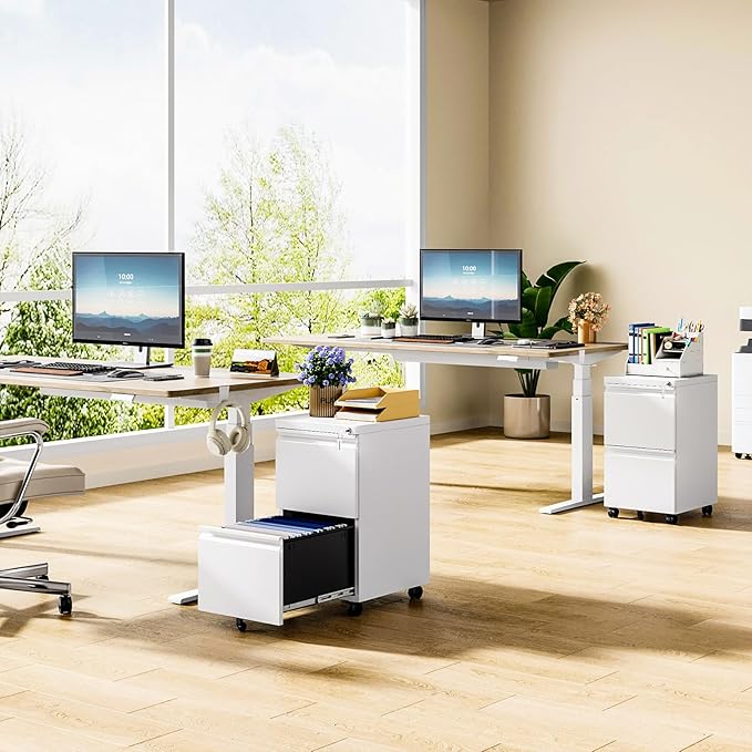 MIIIKO 2 Drawer File Cabinet on Wheels, Home Office Mobile File Drawers Under