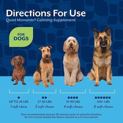 NaturVet Quiet Moments Calming Dog Supplement, Dog Soft Chews with Melatonin to Help Reduce Stress from Storms, the Vet, Fireworks, and Travel, Bacon and Chicken Flavored Pet Supplement, 180 Count Jar