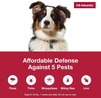 K9 Advantix Flea, Tick & Mosquito Prevention for Dogs 21-55 lbs. | Flea Drops for Large Dogs | Apply Monthly | 2 Treatments